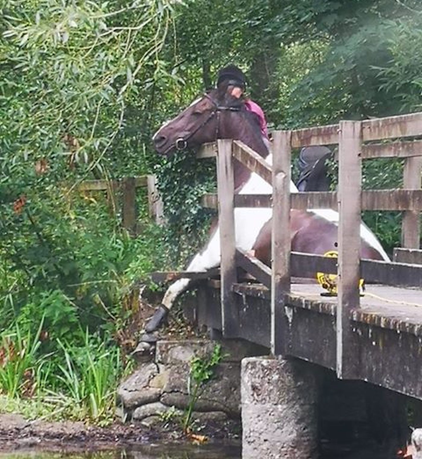 Hampshire bridge