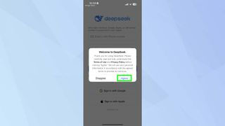 DeepSeek agree to terms and condition