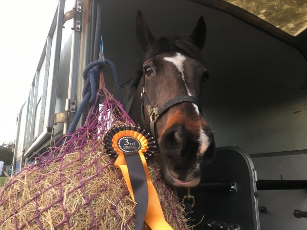 Charlie-rosette--e1520938959448.jpg