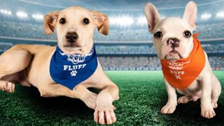 Two of the pups set to take part in Puppy Bowl 2022