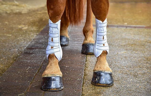 Back on Track Royal Work Boots review
