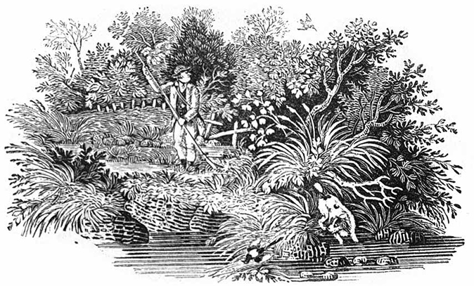 wood engraving