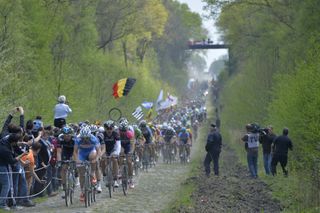 The peleton on the cobbles of Arenberg in the 2014 Paris-Roubaix (Watson)