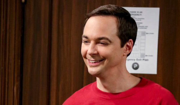 The Big Bang Theory Is Setting Up Another Wedding For Its Final Season 