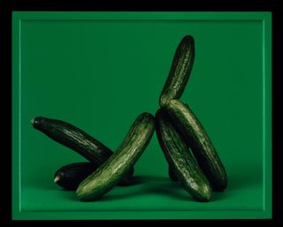 Against a green backdrop, six cucumbers in different size and shape.