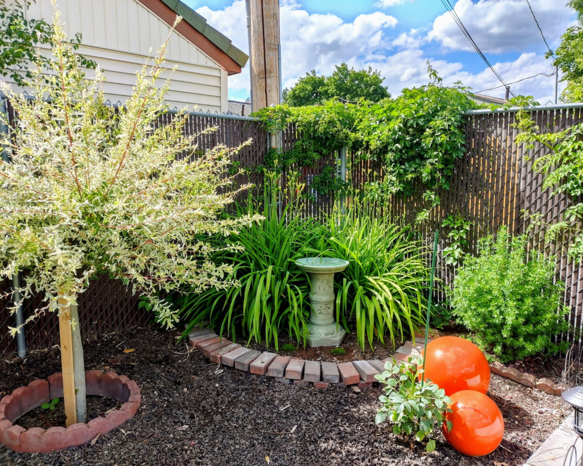 Amy Grant&#039;s backyard with fence and brick borders