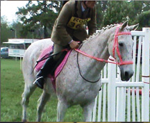 harry3at_ascottcrop.jpg