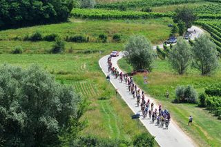 CORMONS ITALY JULY 11 The peloton passing through vineyard landscape during the 32nd Giro dItalia Internazionale Femminile 2021 Stage 10 a 113km stage from Capriva del Friuli to Cormons GiroDonne UCIWWT on July 11 2021 in Cormons Italy Photo by Luc ClaessenGetty Images