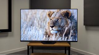 Hisense U8N (65U8N) 75-inch TV on wooden TV bench with lion on screen