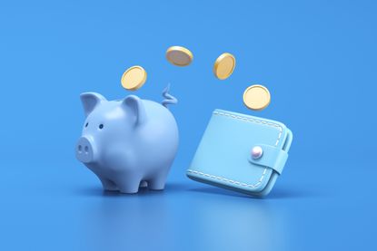 Easy-access savings concept, piggy bank and wallet