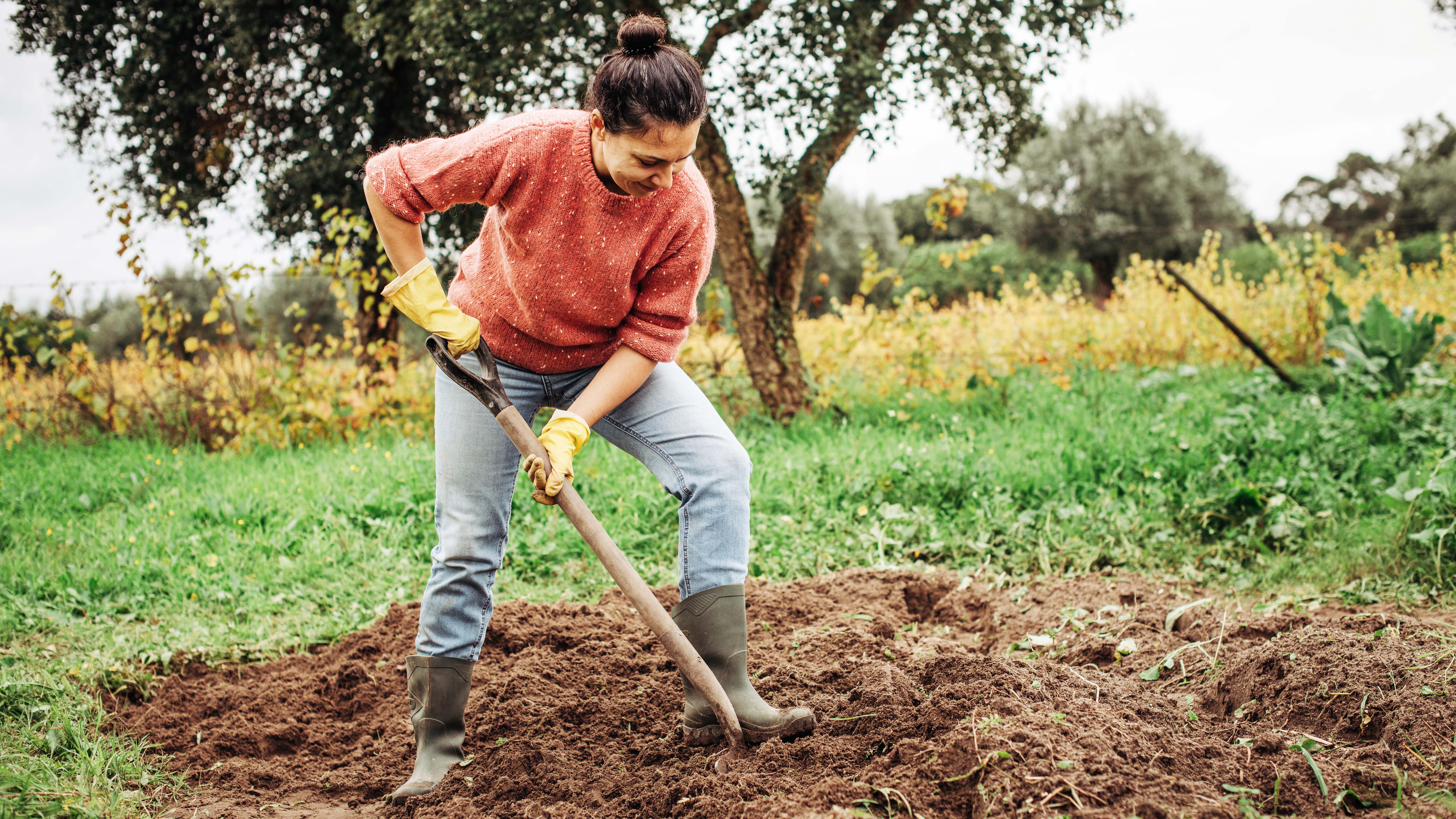 a photo of a woman digging in the garden