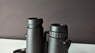 Close-up of Trinovid eyepieces