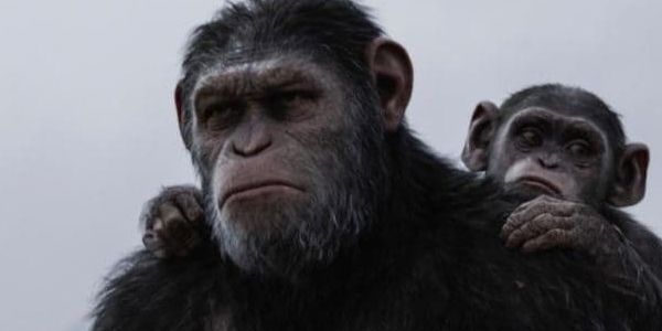 How Andy Serkis Could Continue As The Star Of The Planet Of The Apes ...