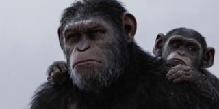 War For The Planet Of The Apes Caesar Cornelius