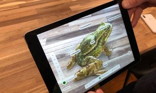 New iPad Frog
