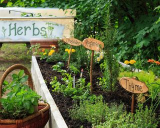 herb garden with DIY wooden signs