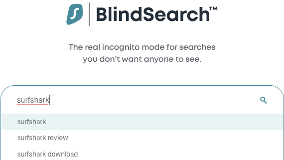 Surfshark Search desktop interface