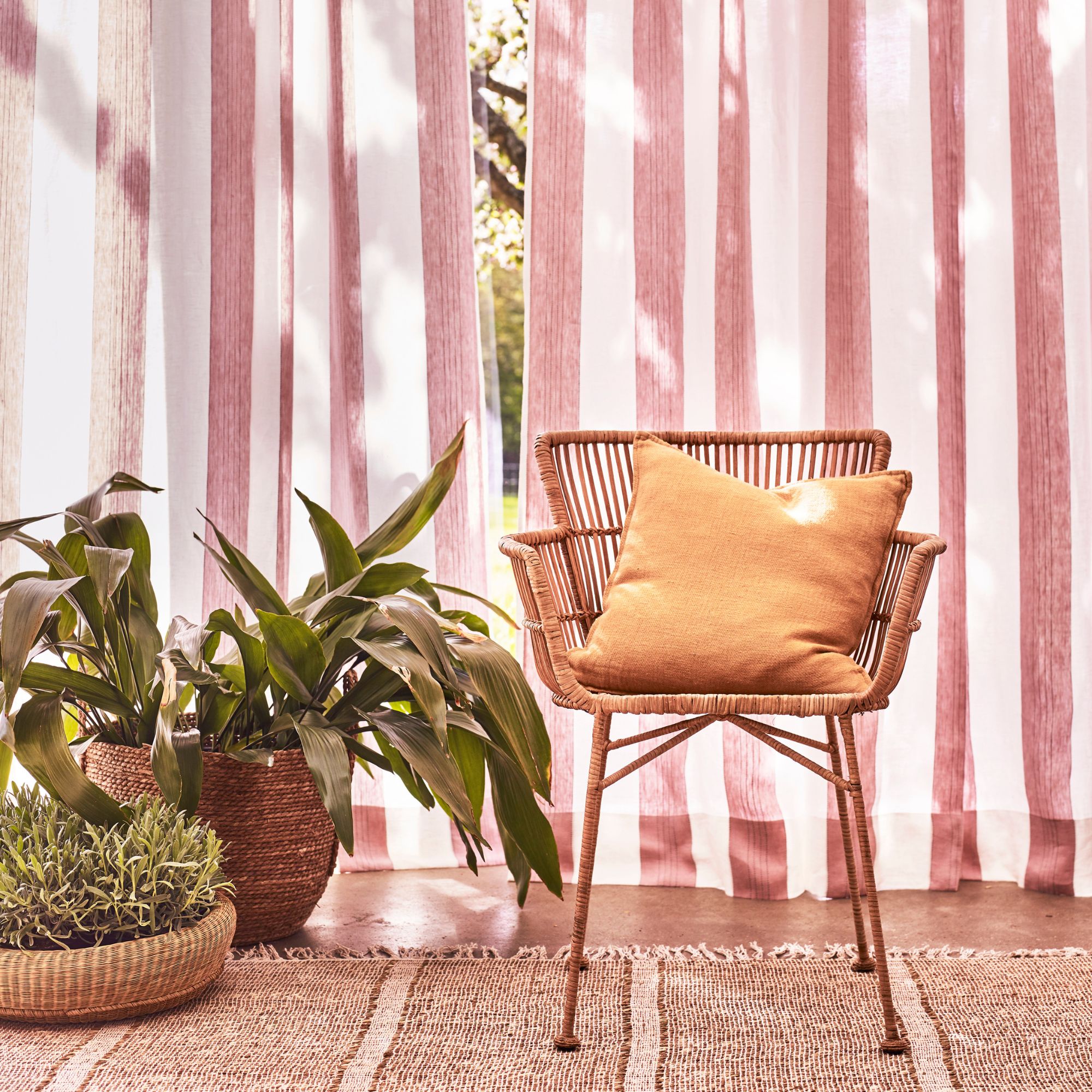 A rattan open back chair next to houseplants in front of airy curtains