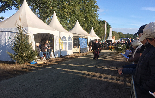 Boekelo trot-up Jim Newsam Magennis