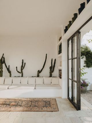 Cactus garden in living room