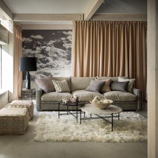 living room with sofa and shaggy faux fur