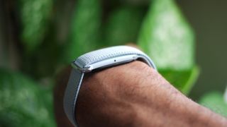 Google Fitbit Air's new Health Guardian features rollout is coming soon