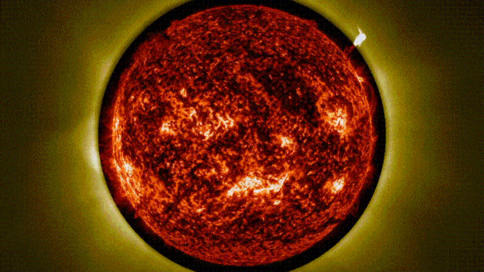 Video footage of plasma plumes erupting from the sun