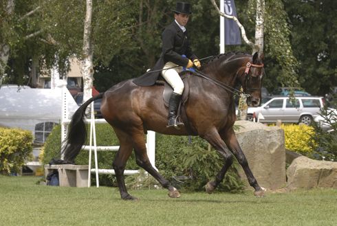 2005-broadstone-doulton.jpg