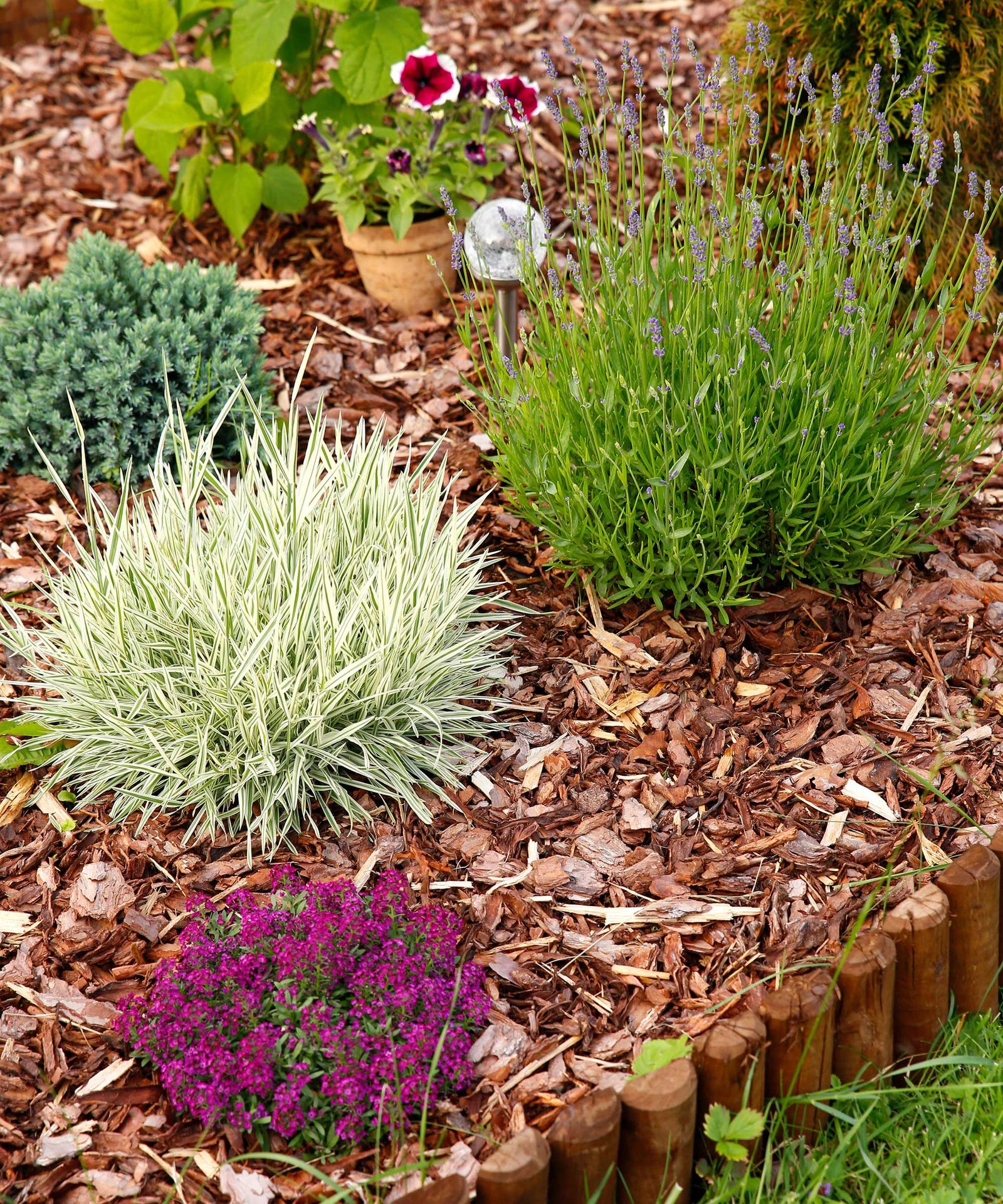 How To Keep Weeds Out Of Flower Beds: Clever Ways To Reduce Garden ...