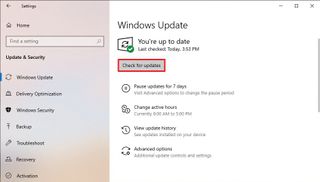 Windows 10 check for version 21H1