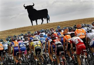 You never know what you'll see when racing in the Vuelta.