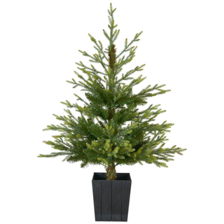 Wilko Potted Helsinki Tree 1.2m 