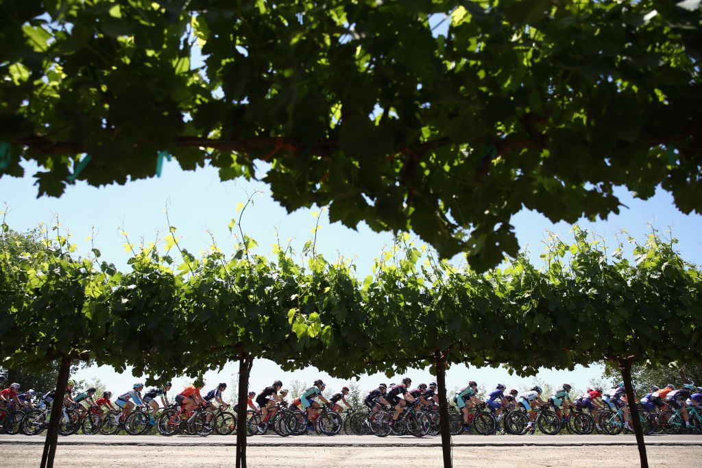 2018 Tour of California Women's Race - Race by the orange groves