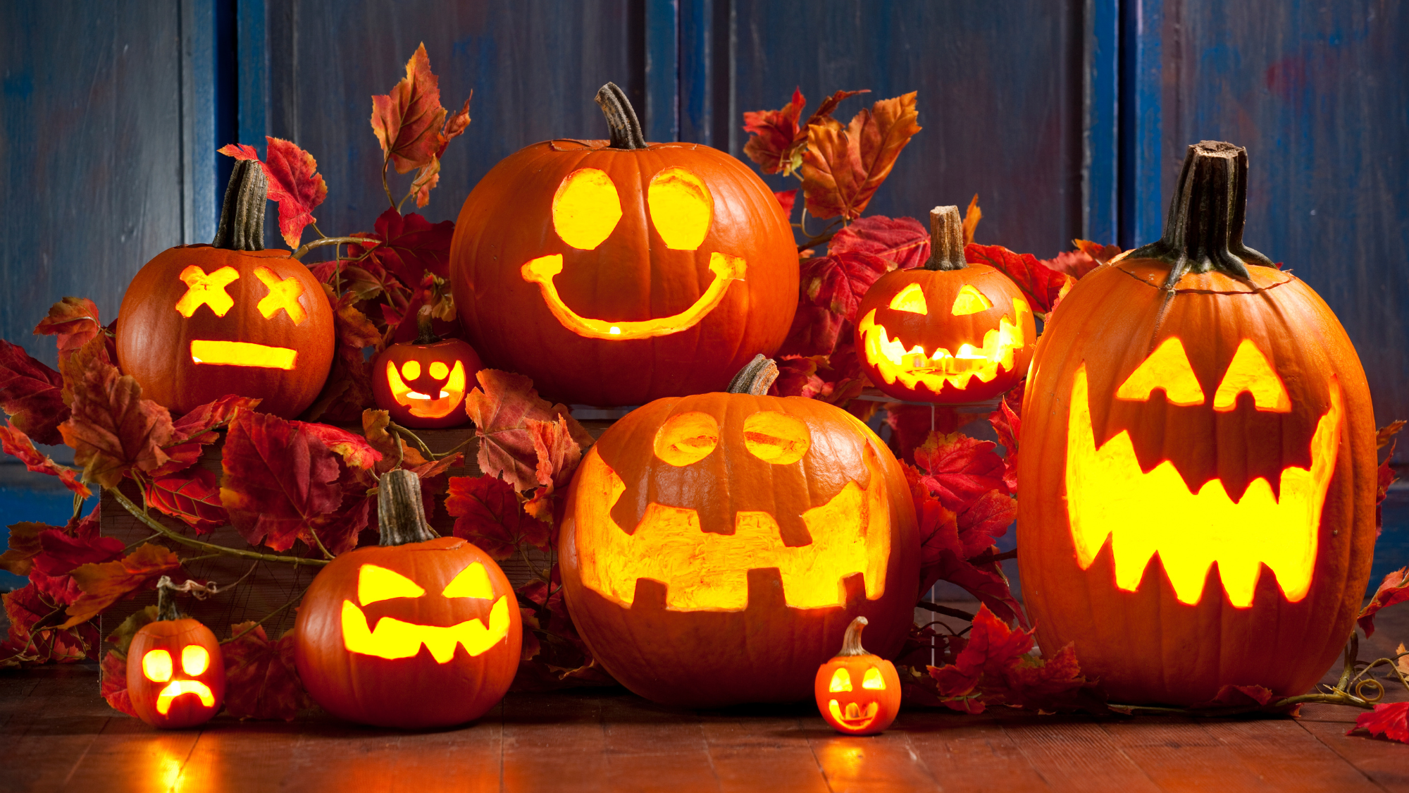 A group of Jack-o-lanterns lit up for the holiday.