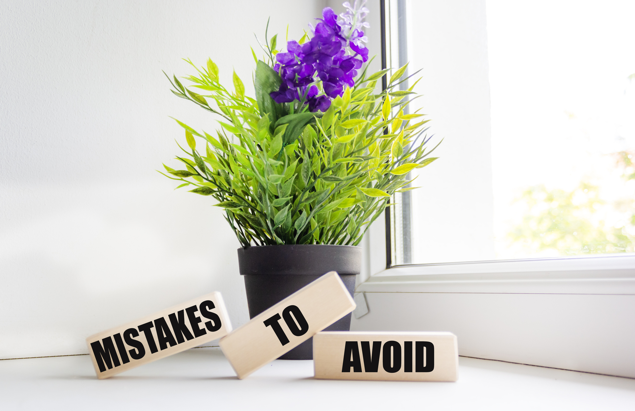 blocks that say "mistakes to avoid" in front of a purple potted flower and a window