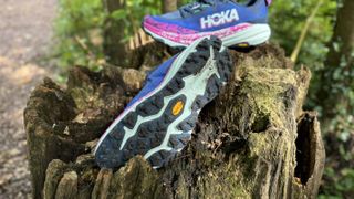 Hoka Speedgoat 6 Review