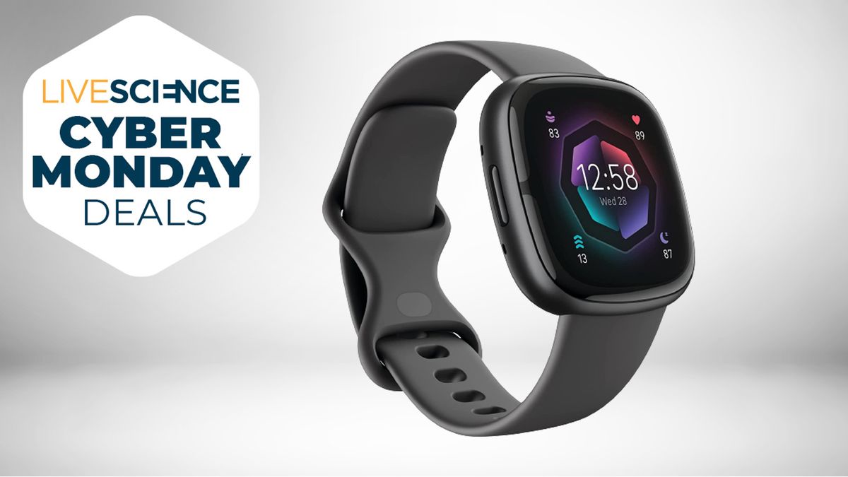 Fitbit cyber monday new arrivals