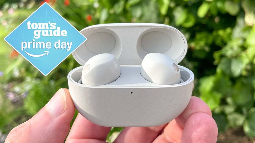 Sony WF-1000XM5 held in a person&#039;s hand in front of a tree