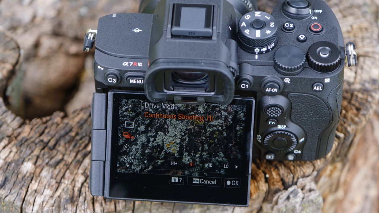 The Sony A7R VI photographed outdoors