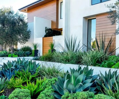 Front yard privacy ideas: 10 stylish screening methods | Homes & Gardens