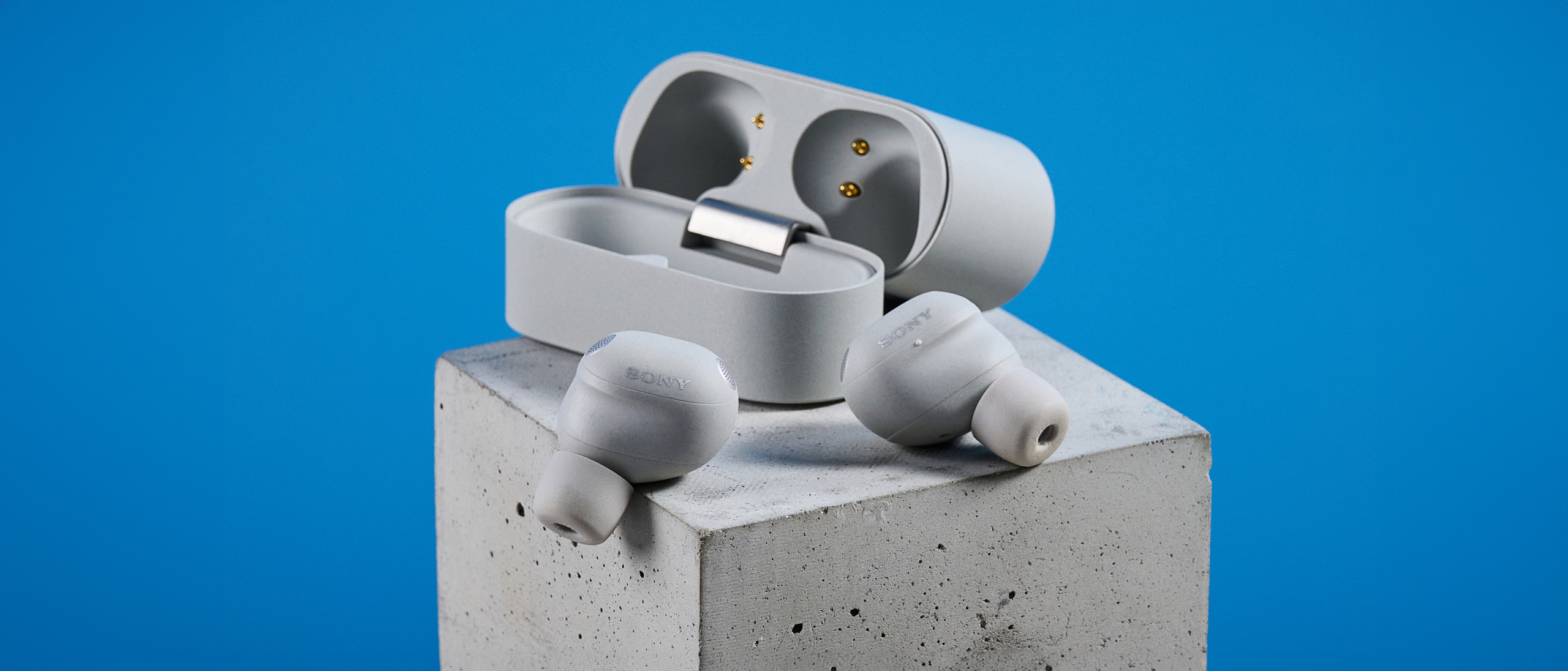 Sony WF-1000XM6 earbuds photographed in front of a blue background