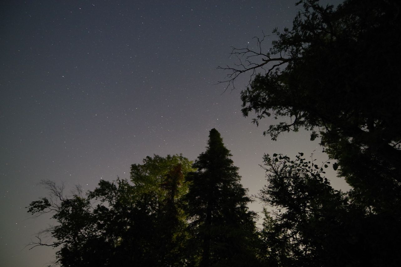 An image shot with the Pentax 15-30mm f/2.8 and the Pentax K-1 Mark II