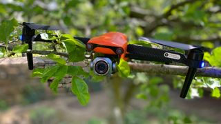 Autel Evo Lite+ drone in a tree
