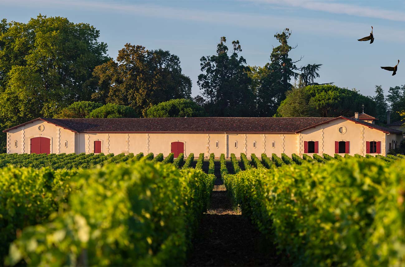 value en primeur red wines 2019