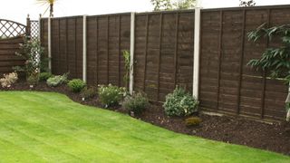 Dark coloured fence panels in neat garden held up by concrete posts
