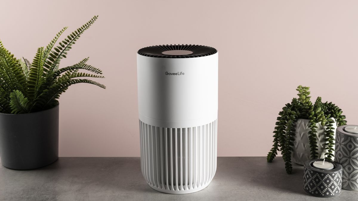 GoveeLife Smart Air Purifier Lite review: smart, swell, and it purifies well