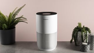 The GoveeLife Smart Air Purifier Lite sits on a table with house plants on either side.