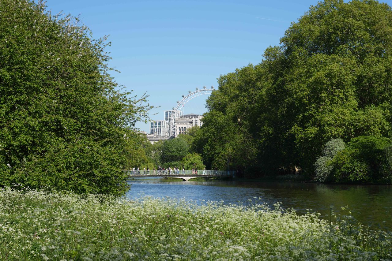 View across a London park lake toward the London Eye in the distance.