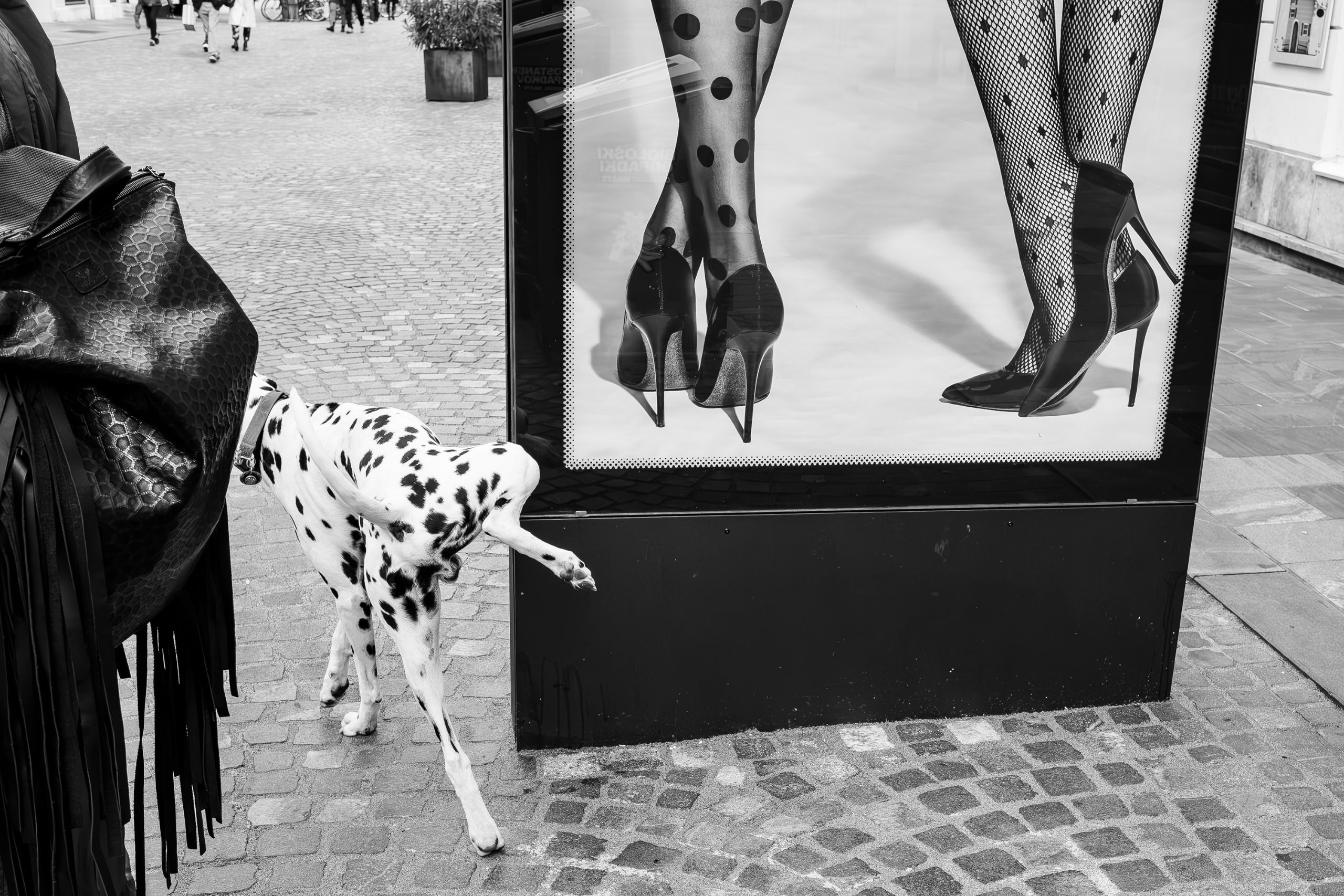 The 25 best street photographs from 18 countries across five continents – and they might inspire your own work