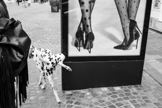 The 25 best street photographs from 18 countries across five continents – and they might inspire your own work